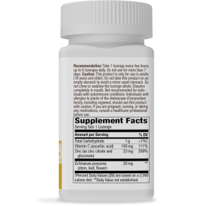 Nature's Way, Zinc Lozenges, Wild Berry Flavored, 60 Vegan Lozenges - Image 2