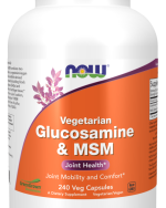 VEG GLUC & MSM 500/500 120 VCAPS