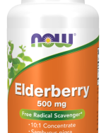 ELDERBERRY 500mg 60 VCAPS
