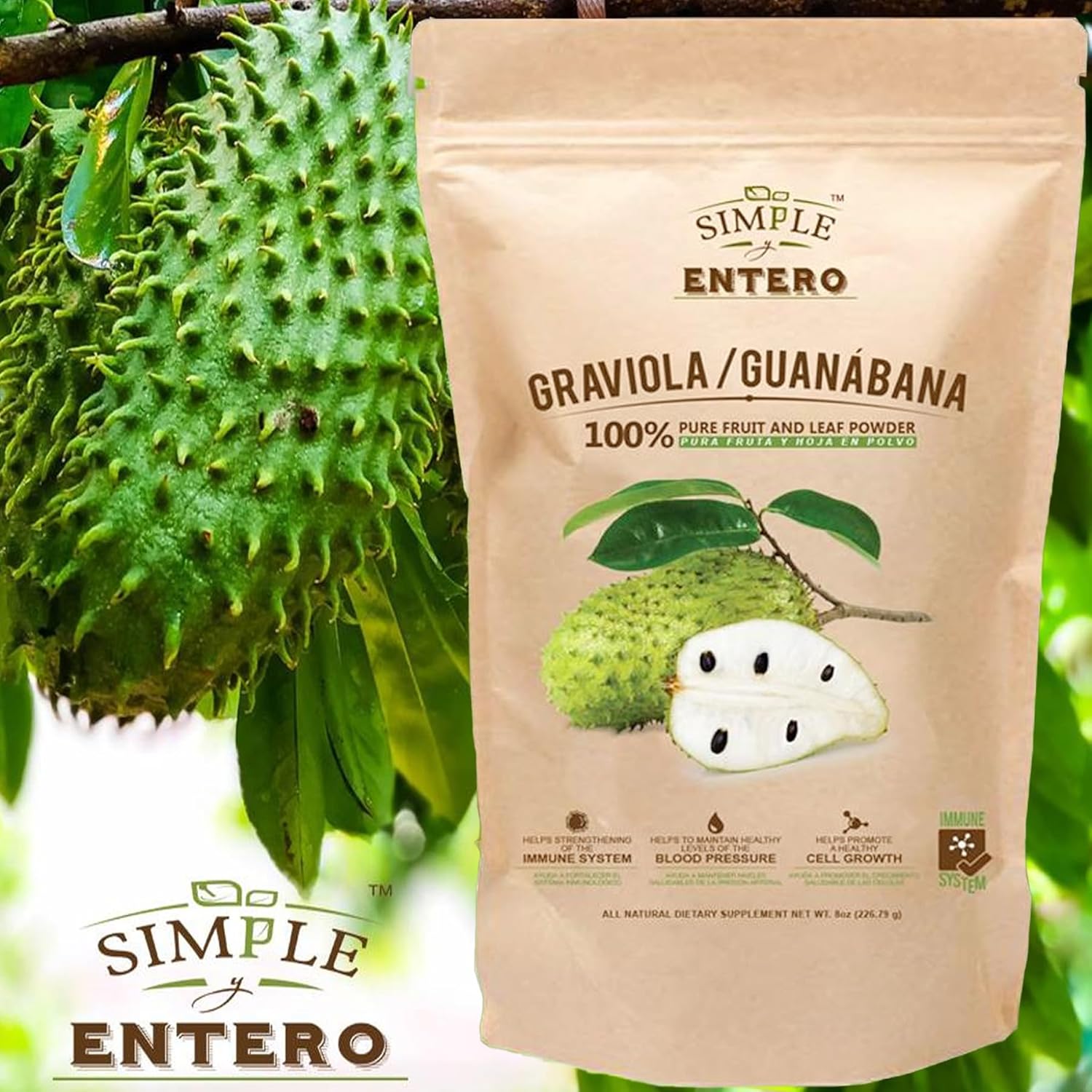 Serene Herbs Graviola/GuanĂ¡bana (Soursop) Supplement, 100% Pure Leaf & Fruit Powder, No Additives or Fillers, 8 oz Resealable Bag - Image 2