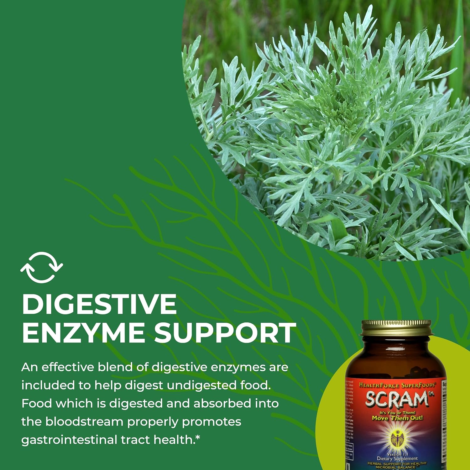 Serene Herbs HEALTHFORCE SUPERFOODS Scram - Herbal Supplement with Milk Thistle, Wormwood & Black Walnut - Digestion Support Capsules - 150 Vegan Capsules - Image 5